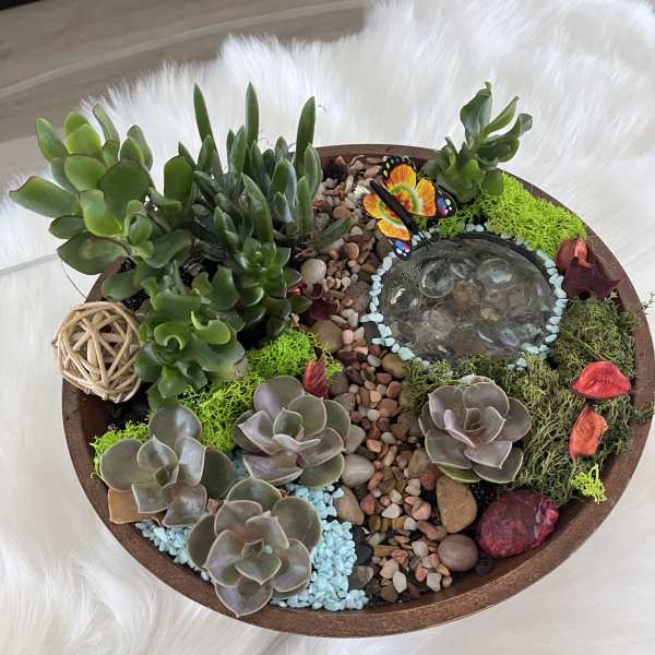 Round succulent dish garden with pebbles and a butterfly ornament
