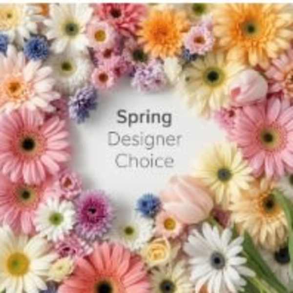 Pastel daisies, gerbera daisies, mums, tulips, and roses framing text that reads Spring Designer Choice