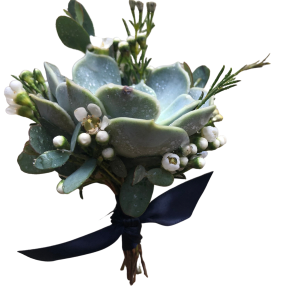 Succulent bouquet with small white blossoms and a dark ribbon