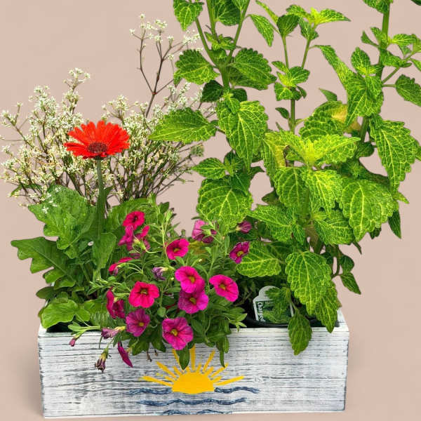 Container Garden