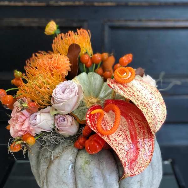 Orange Splash Pumpkin