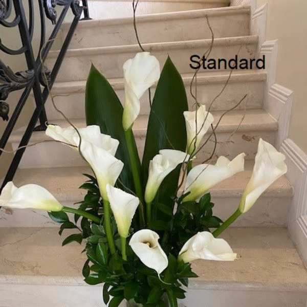 Tall arrangement of white calla lilies in a clear glass vase on stone steps
