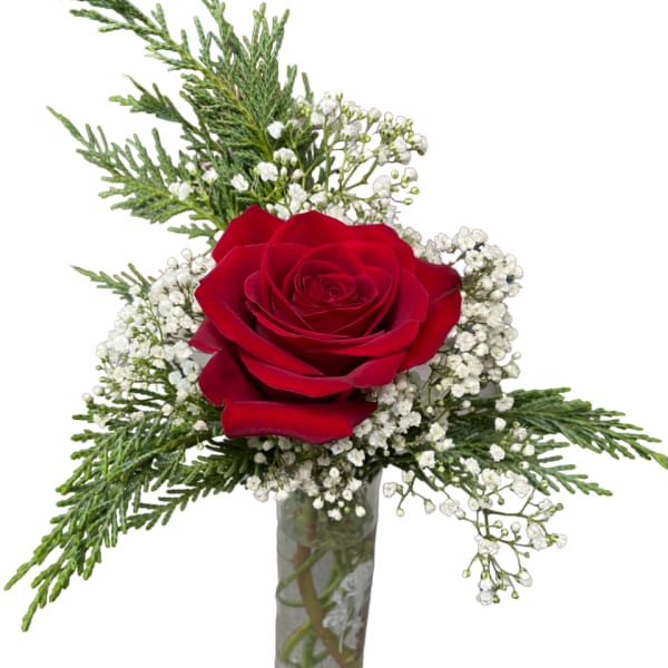 Red rose in a clear glass vase with white baby's breath