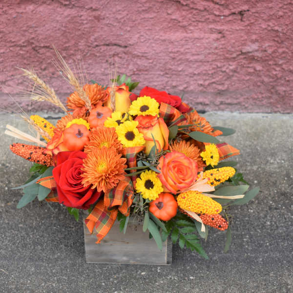Harvest Celebration