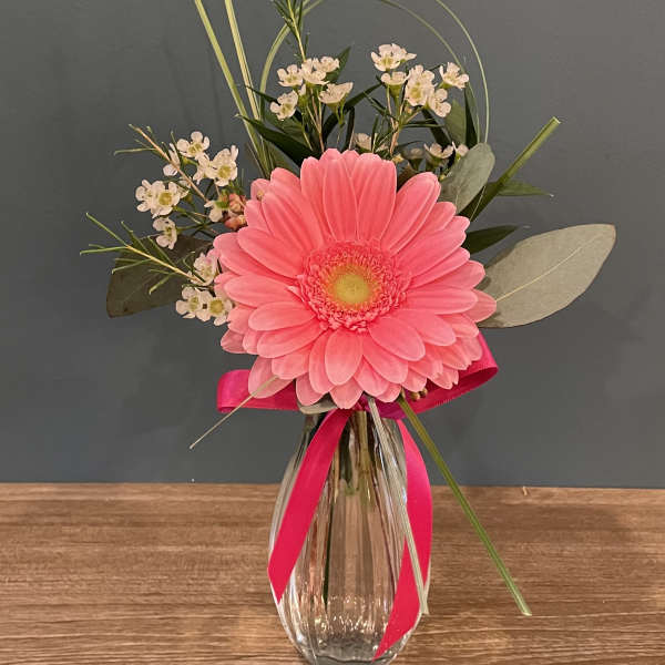 Pink gerbera daisy arrangement in a glass vase with ribbon