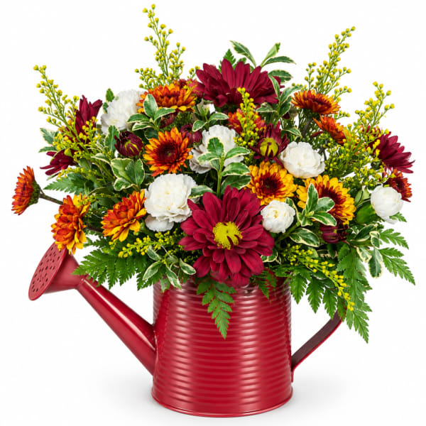 Mixed bouquet in a red watering can with burgundy, orange, and white blooms