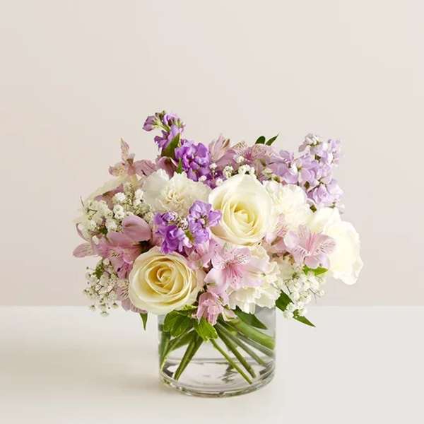 Lovely Lavender