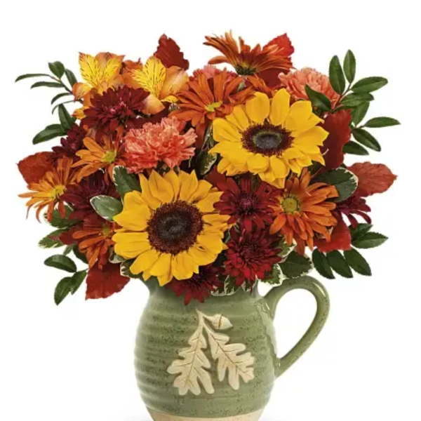 Acorn Pitcher