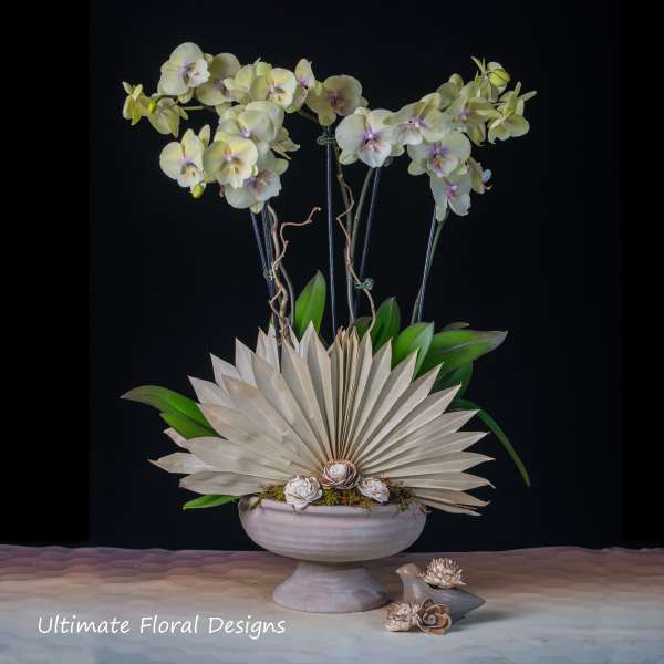 White orchids in a pedestal bowl with a fan-shaped dried leaf accent