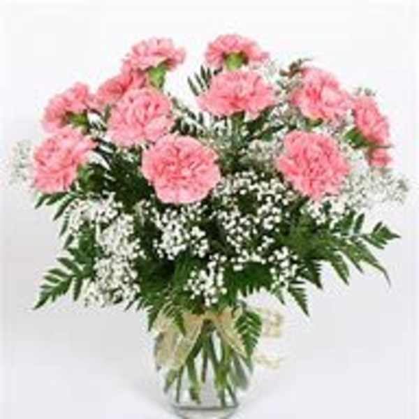 Dozen Assorted Carnations