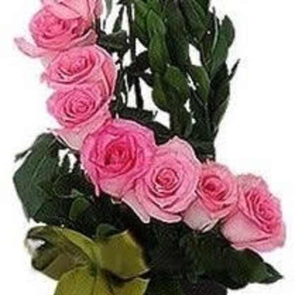 Pink roses arranged in a tall black vase with a green ribbon