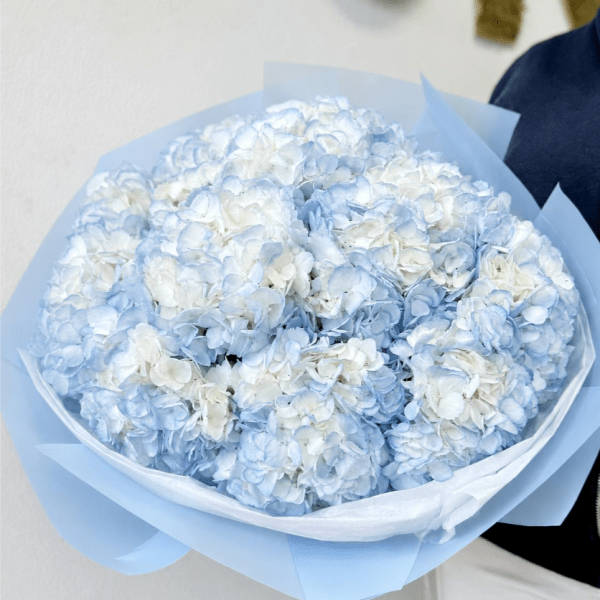 Bouquet of pale blue and white hydrangeas wrapped in light blue paper