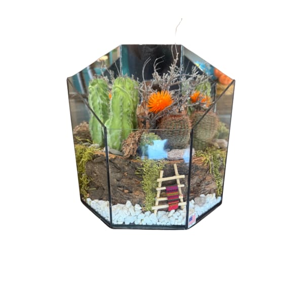 Cactus terrarium in a geometric glass container with decorative stones