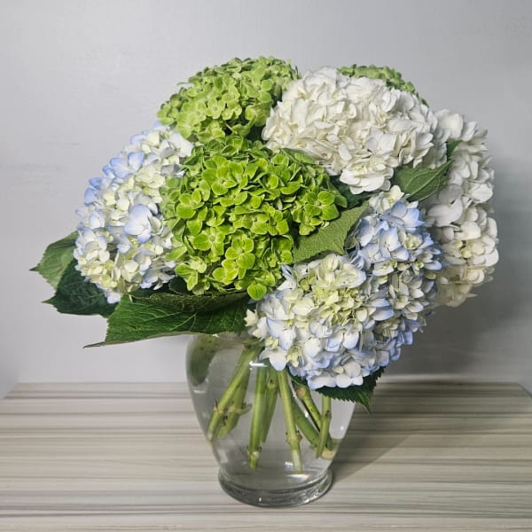 Hydrangea bouquet in a clear glass vase with green, white, and pale blue blooms.