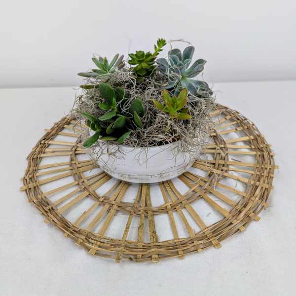 Succulent arrangement in a white bowl on a woven placemat