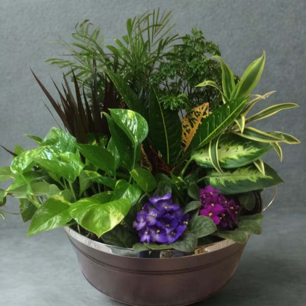 Bountiful Botanicals
