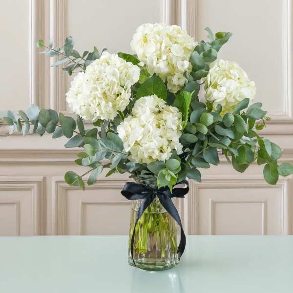 White hydrangeas in a glass vase with a black ribbon