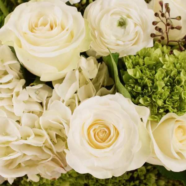 White roses and anemones with green hydrangeas in a close-up bouquet