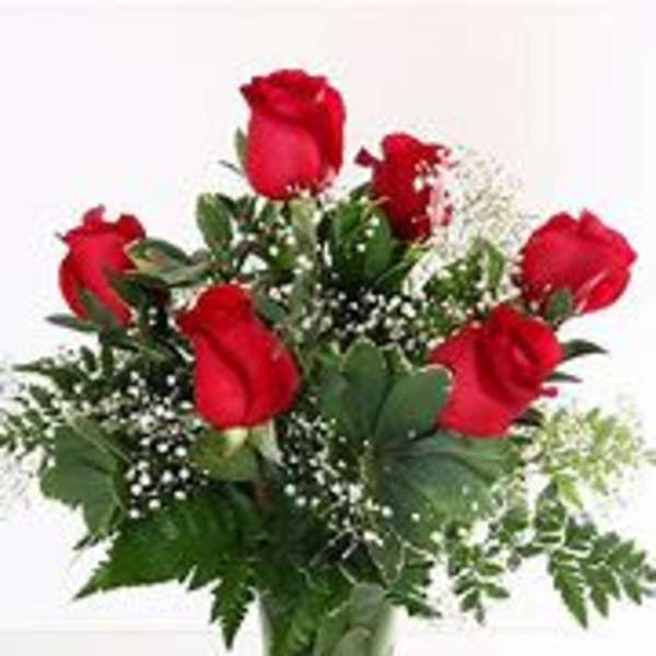 Half Dozen Red Roses