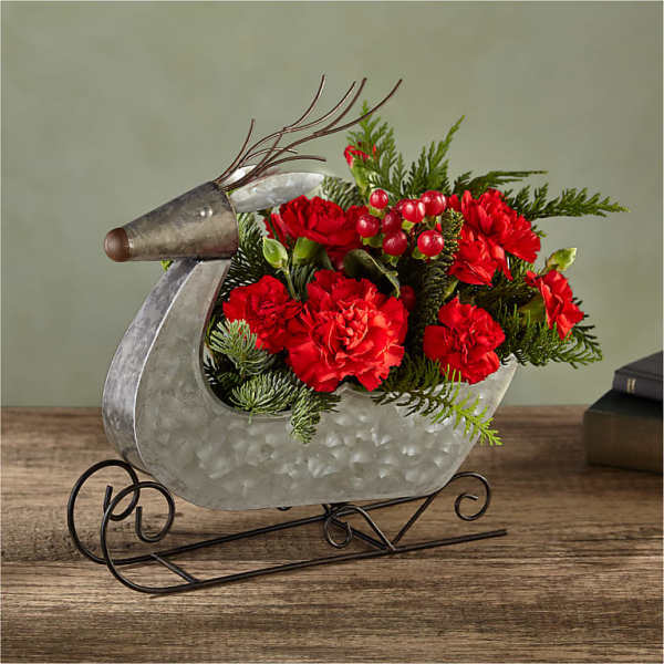 Red carnations in a metal reindeer-shaped planter
