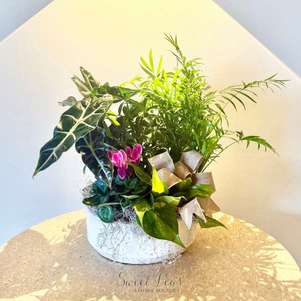 Garden Oasis Planter