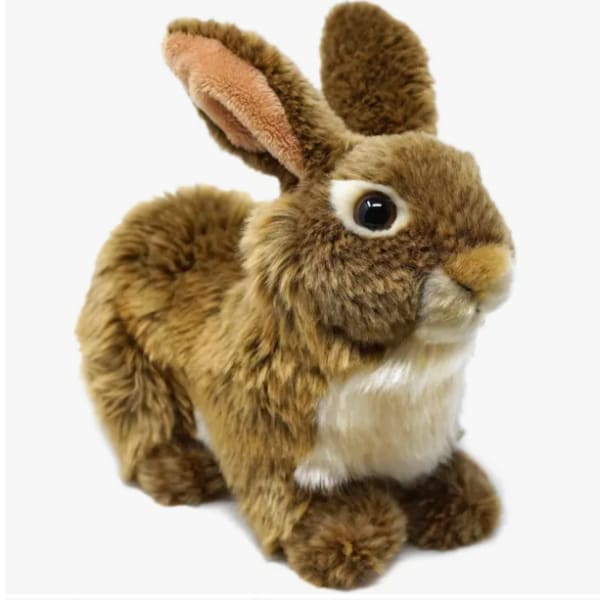 Plush brown rabbit with white chest on a white background