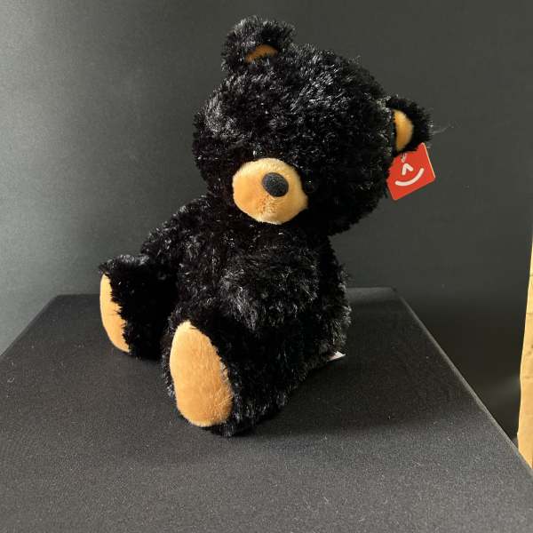 Black plush teddy bear with tan paws and muzzle