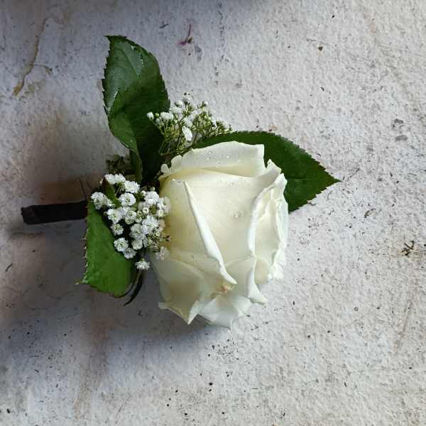 White rose boutonniere with baby's breath and green leaves