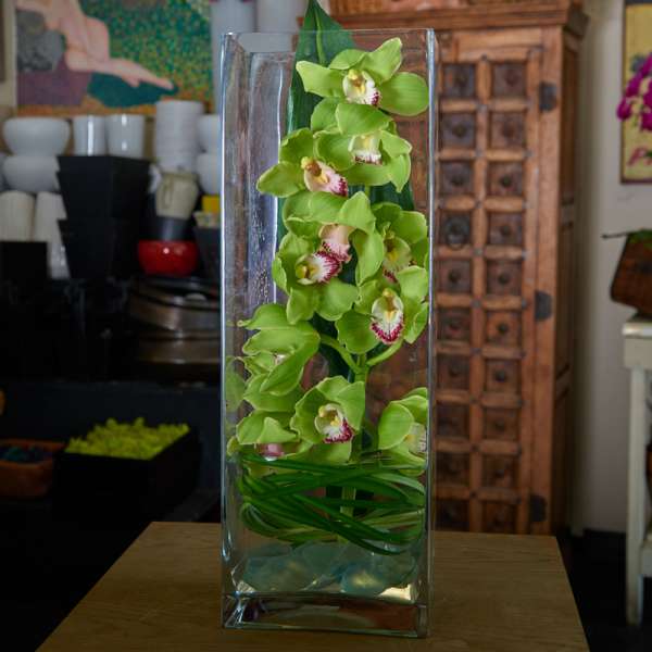 Green orchids arranged in a tall glass vase