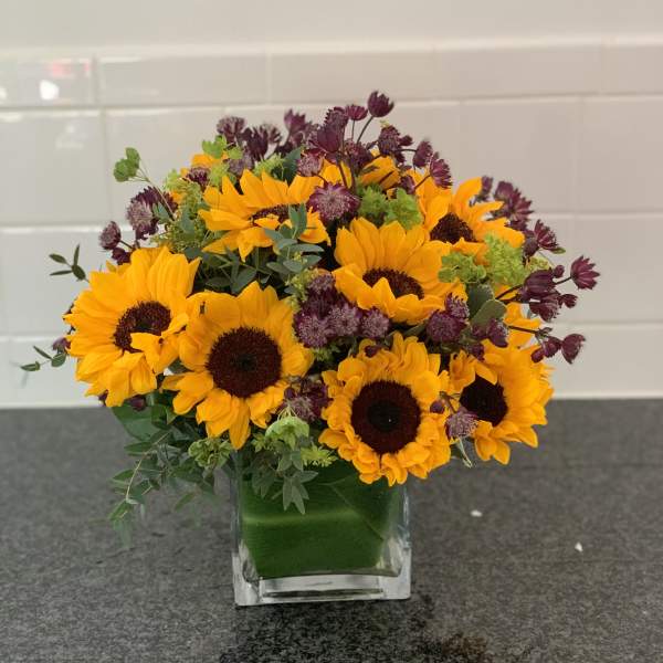 Sunflower bouquet in a clear square vase