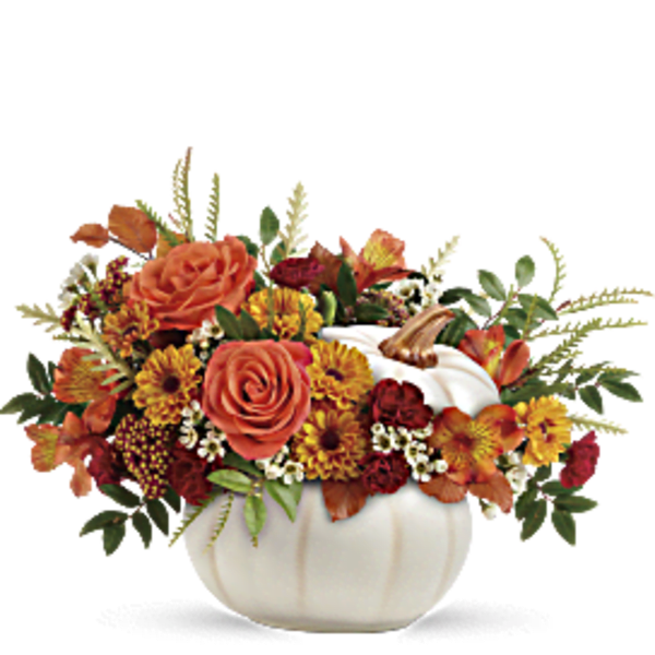 HARVEST ENCHANTED PUMPKIN