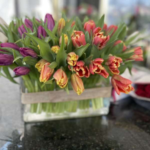 Bouquet of multicolored tulips in a clear glass vase