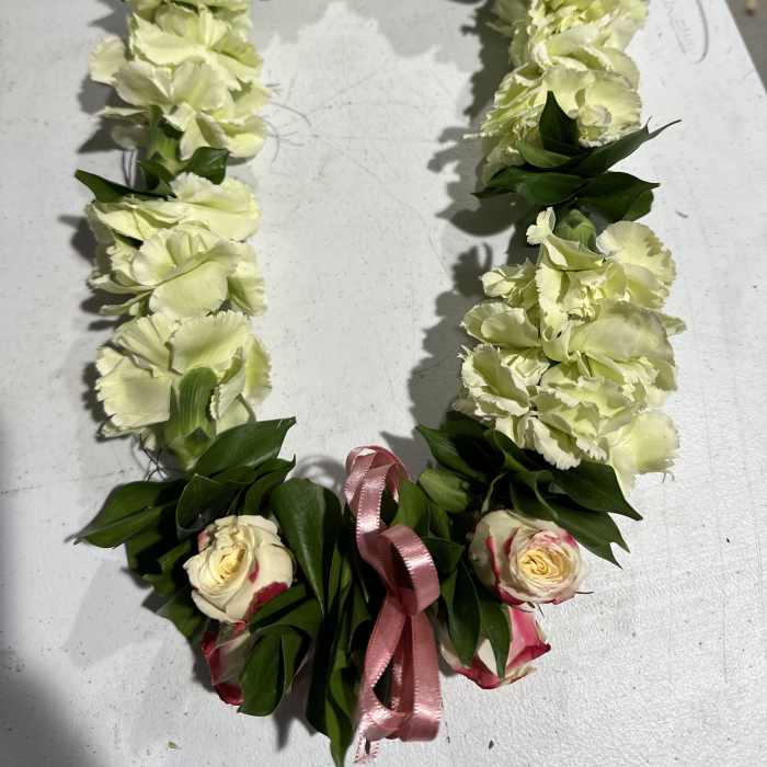 Leis