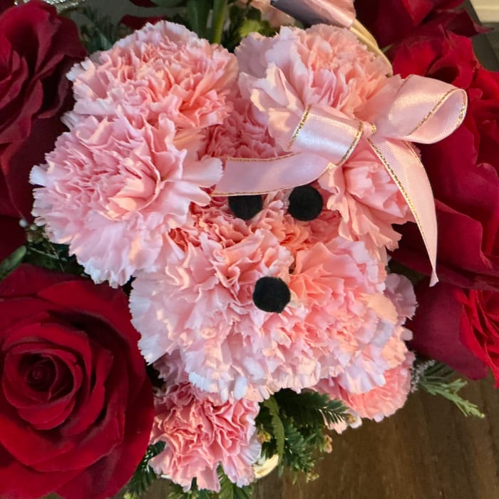 Pink puppy