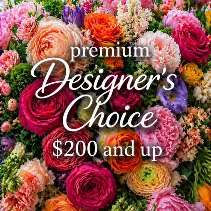 Premium Designer's Choice