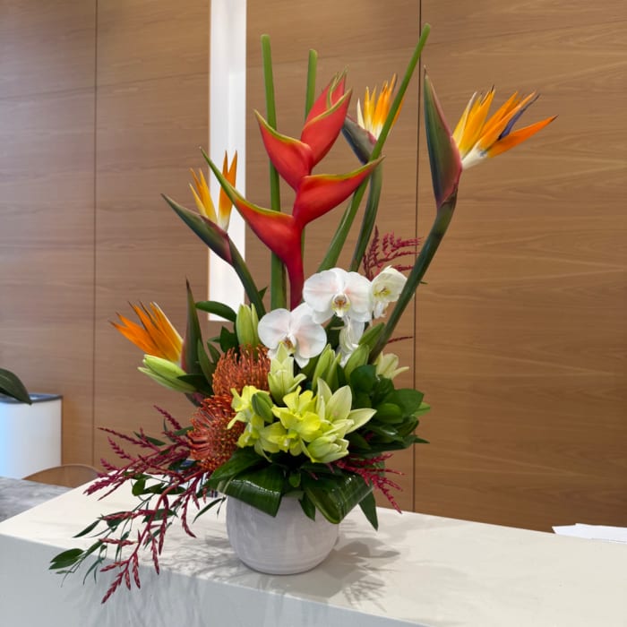 Tropical flower arrangement in a white vase with red and orange bird of paradise and white orchids