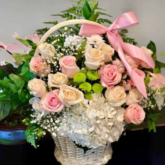 Basket arrangement of pink and cream roses with white hydrangea and a pink ribbon