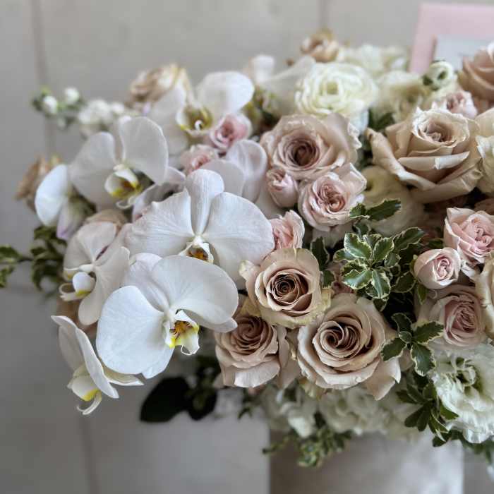 Château box with orchids