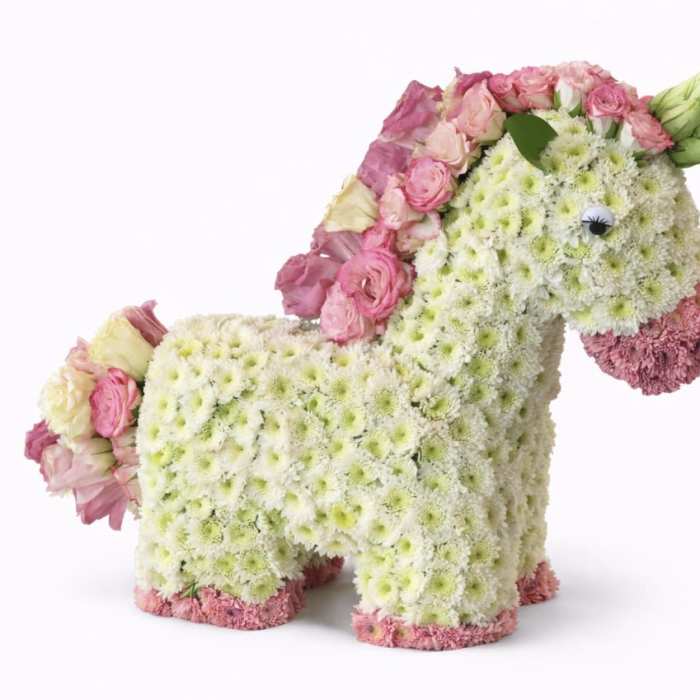 Horse Flower