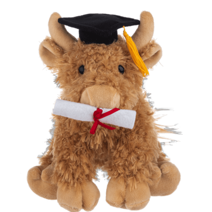 Graduation Highland Cow