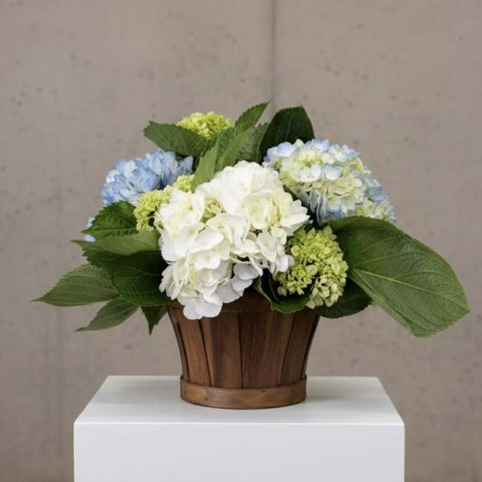 Hydrangea arrangement in a wooden basket