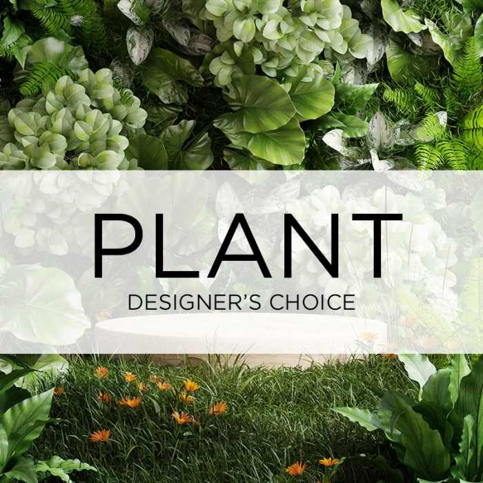 Plant designer's choice graphic with assorted green foliage and orange flowers