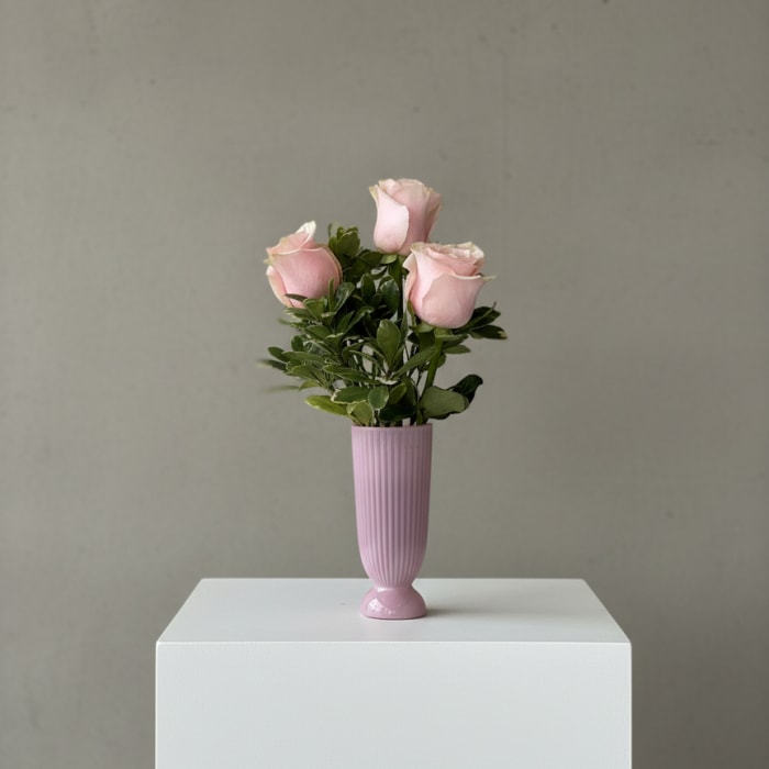 Three pale pink roses in a pink vase