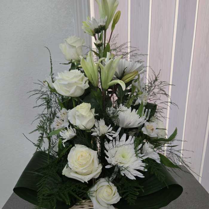 My sincere condolences