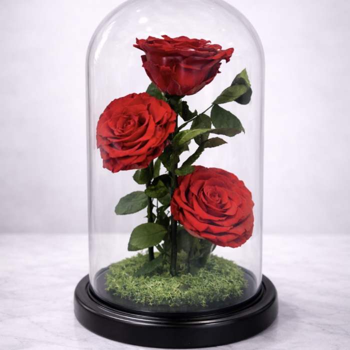 Three red roses under a glass dome on a black base