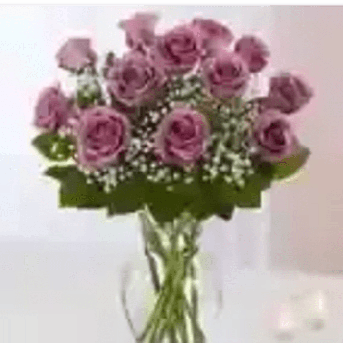 PURPLE PASSION ROSES