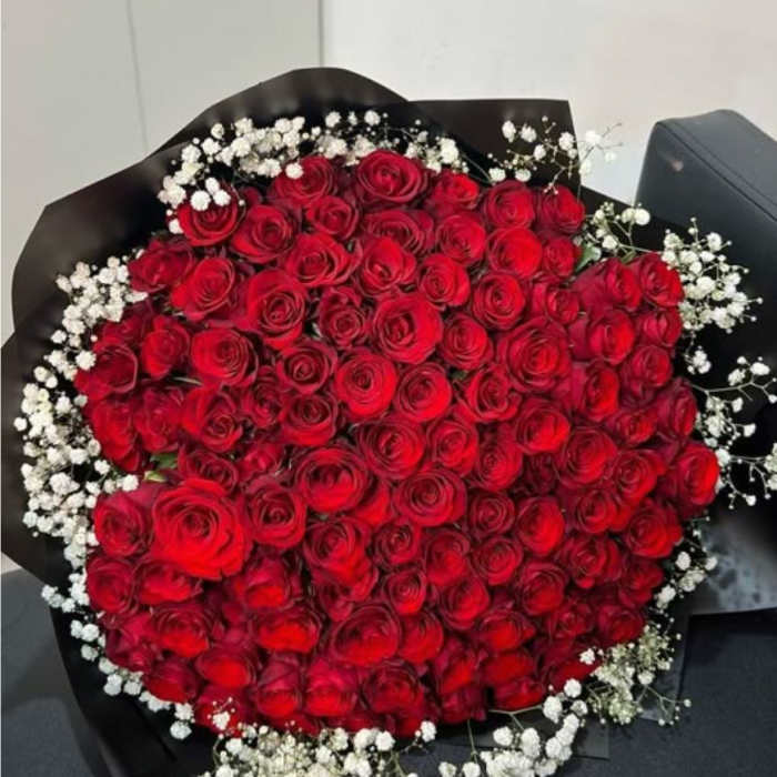 Large bouquet of red roses with white baby's breath in black wrap