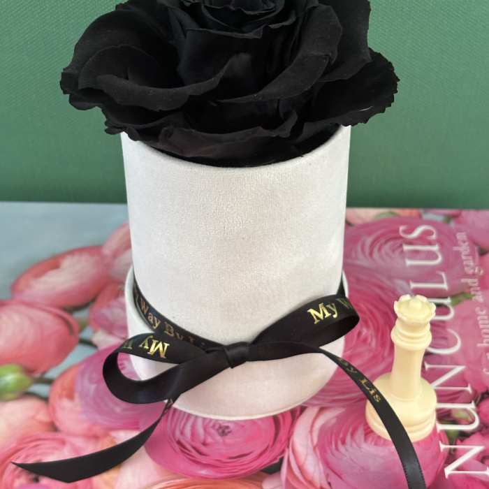 D Bowie. (PRESERVED ROSE)