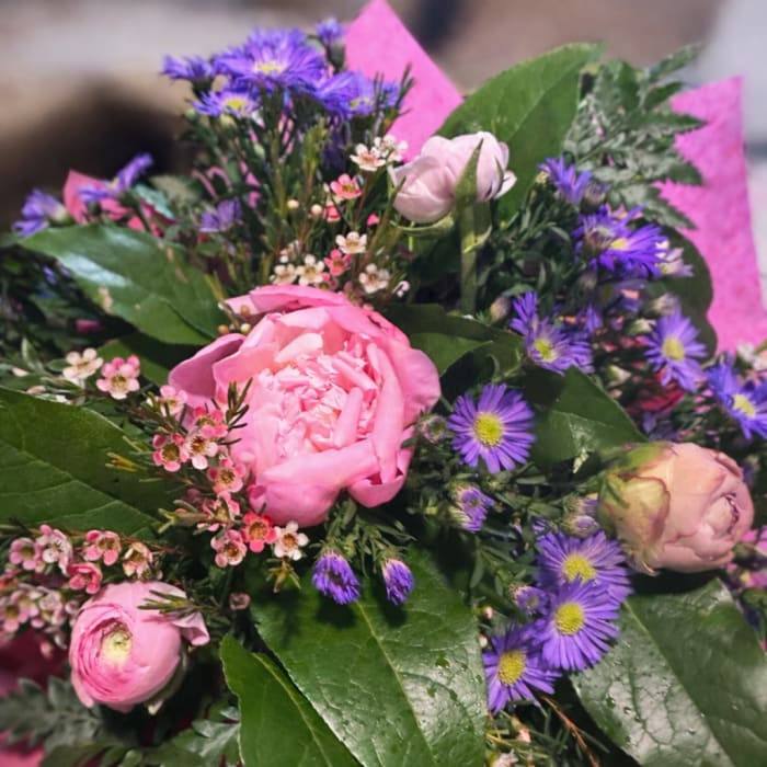 Sweet Meadow Whisper