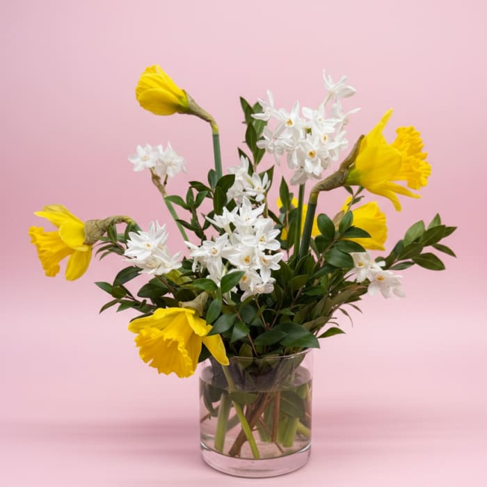 Reflections of Spring